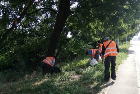 Коммунальщики приводят в порядок въезды в город (фото)