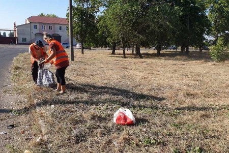 Коммунальщики очистили от мусора въезды в Одессу (фото)
