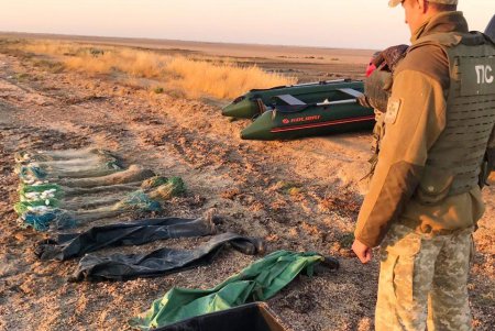 Кефаль на 90 тысяч гривен: в Татарбунарском районе пойманы браконьеры с крупным уловом (фото, видео)