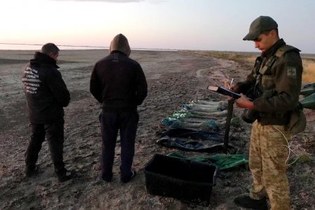 Кефаль на 90 тысяч гривен: в Татарбунарском районе пойманы браконьеры с крупным уловом (фото, видео)