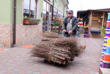 Колоритное место: на Староконном рынке можно найти все что угодно (фоторепортаж)
