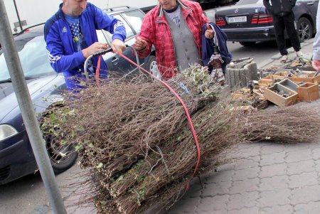 Колоритное место: на Староконном рынке можно найти все что угодно (фоторепортаж)