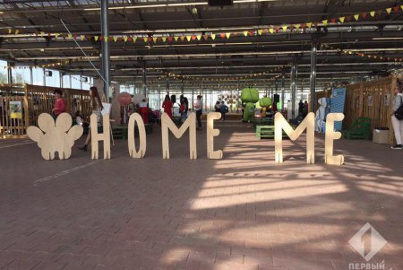Найди себе друга: в Одессе стартовал четвертый Home Me Fest (фото)