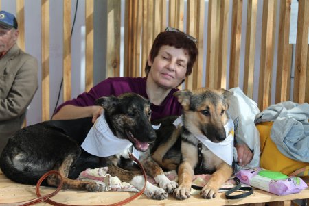 Home Me Fest: как в Одессе искали новых хозяев животным из приютов (фоторепортаж)