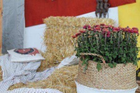 Home Me Fest: как в Одессе искали новых хозяев животным из приютов (фоторепортаж)