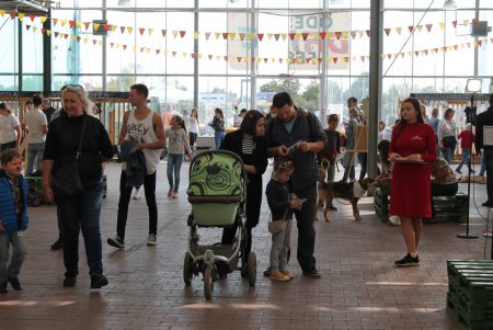 Home Me Fest: как в Одессе искали новых хозяев животным из приютов (фоторепортаж)