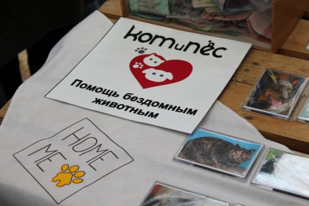 Home Me Fest: как в Одессе искали новых хозяев животным из приютов (фоторепортаж)