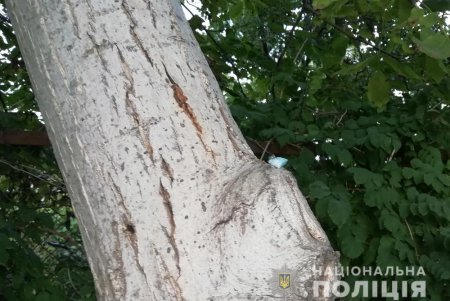 В Киевском районе полицейские изъяли у наркодилеров более 60 пакетов с амфетамином (фото)