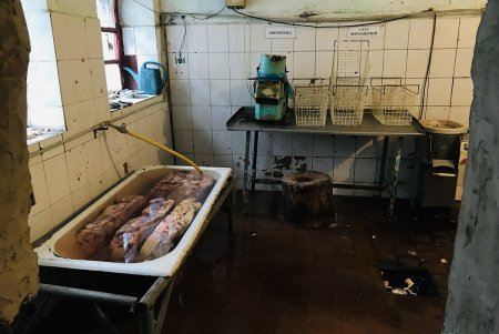 Переполненность, плесень и крысы: в Одесском СИЗО зафиксировали множество нарушений (фото)