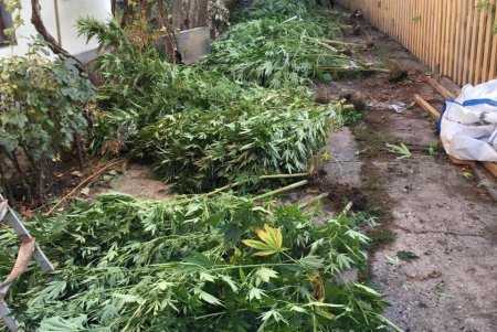 Оружие и наркотики: жителя Черноморска уличили в противозаконных «хобби» (фото, видео)