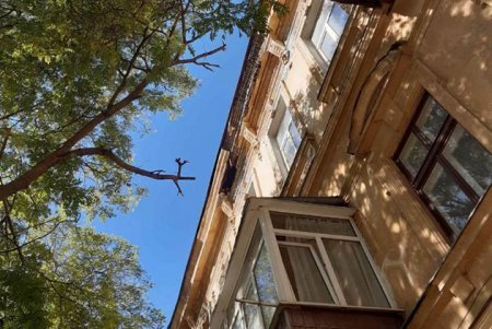 На Еврейской крупная ветка упала на балкон (фото)
