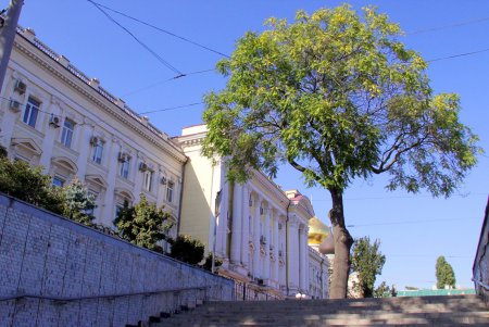Привокзальная площадь: сухопутные ворота города (фоторепортаж) 
