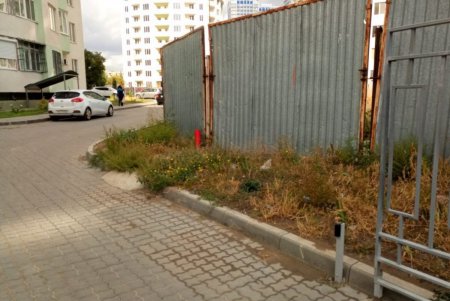 В октябре зафиксировано 76 нарушений одесских Правил благоустройства (фото)