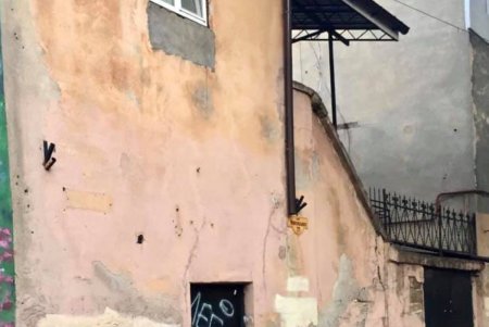 На Новосельского старый дом украсили два новых мурала (фото) 