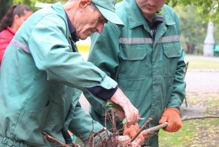 «Одесса без полиэтилена» и «Посади дерево»: сразу две экологические акции стартовали в один день (фоторепортаж)