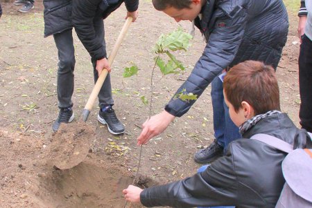 «Одесса без полиэтилена» и «Посади дерево»: сразу две экологические акции стартовали в один день (фоторепортаж)