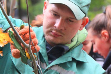 «Одесса без полиэтилена» и «Посади дерево»: сразу две экологические акции стартовали в один день (фоторепортаж)