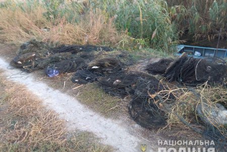 Запрещенные орудия лова обнаружили на берегу Турунчука и Днестра (фото, видео)