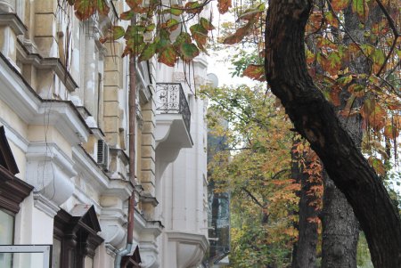 Одесса снова погрузилась в туман (фоторепортаж)