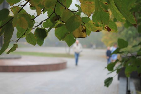 Одесса снова погрузилась в туман (фоторепортаж)