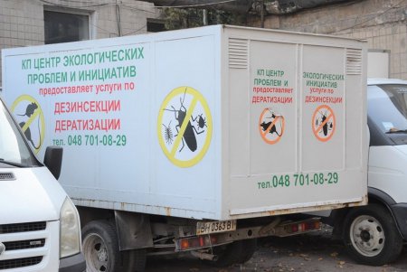 Для муниципальной службы отлова животных ремонтируют новое помещение (фото)