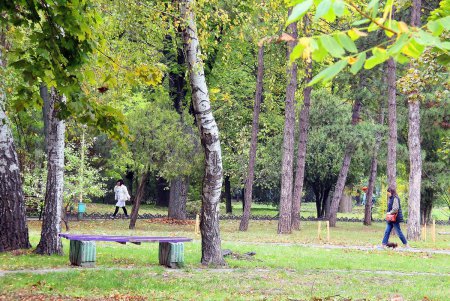 Любуемся осенью: прогулка по территории санатория им. Горького (фоторепортаж)