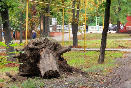 Любуемся осенью: прогулка по территории санатория им. Горького (фоторепортаж)