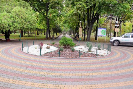 Любуемся осенью: прогулка по территории санатория им. Горького (фоторепортаж)