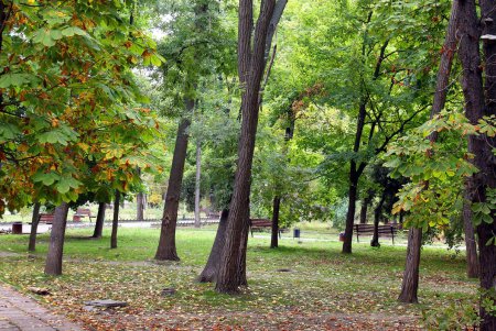 Любуемся осенью: прогулка по территории санатория им. Горького (фоторепортаж)