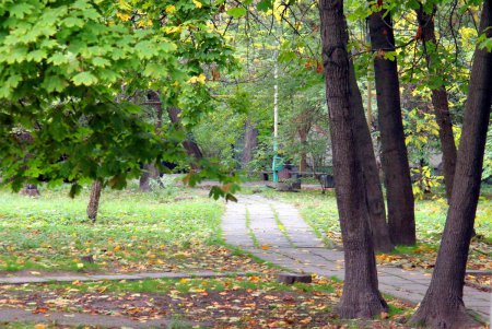 Любуемся осенью: прогулка по территории санатория им. Горького (фоторепортаж)