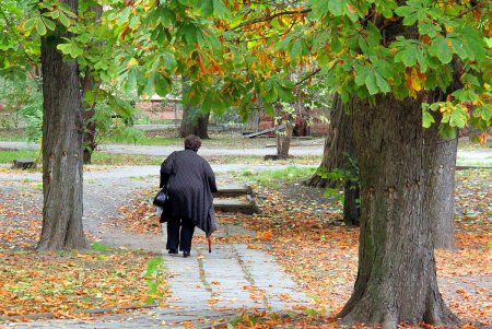 Любуемся осенью: прогулка по территории санатория им. Горького (фоторепортаж)