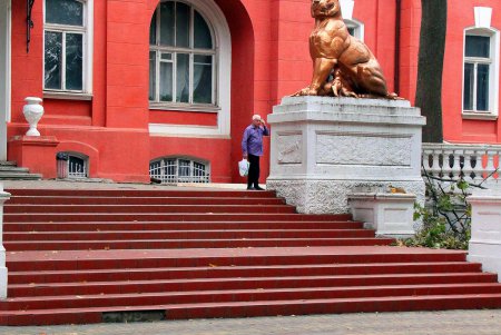 Любуемся осенью: прогулка по территории санатория им. Горького (фоторепортаж)