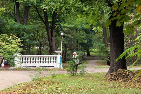 Любуемся осенью: прогулка по территории санатория им. Горького (фоторепортаж)