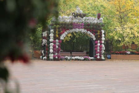 Красочные инсталляции из хризантем в осеннем Зеленом театре (фоторепортаж)