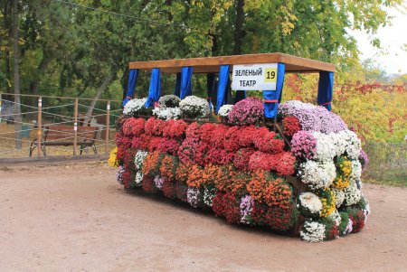 Красочные инсталляции из хризантем в осеннем Зеленом театре (фоторепортаж)