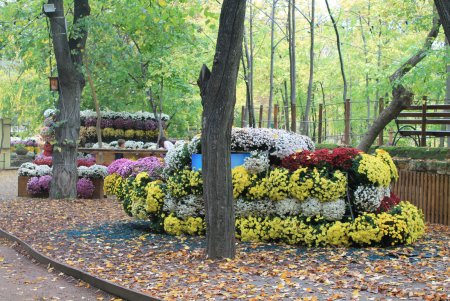 Красочные инсталляции из хризантем в осеннем Зеленом театре (фоторепортаж)
