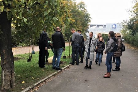 Десять молодых деревьев сакуры высадили в парке Шевченко (фото)
