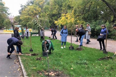 Десять молодых деревьев сакуры высадили в парке Шевченко (фото)