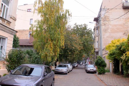 Осень в Лермонтовском переулке (фоторепортаж)