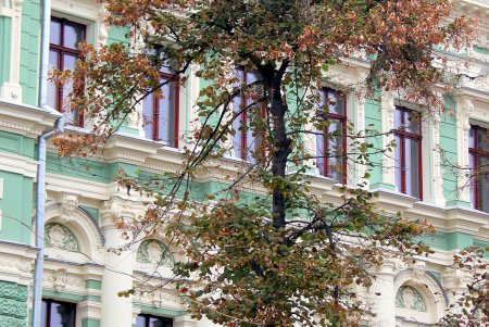 Дом Руссова готовится предстать во всей красе (фоторепортаж)
