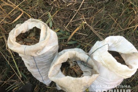 В Болградском районе браконьеры выловили три мешка раков на лодке с поддельными номерами (фото, видео)