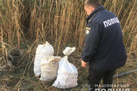 В Болградском районе браконьеры выловили три мешка раков на лодке с поддельными номерами (фото, видео)
