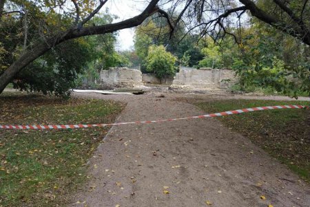 Со стороны улицы Мечникова появится новый вход в зоопарк (фото)