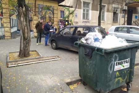 Муниципальные инспекторы нашли 20 переполненных мусором контейнеров в Приморском районе (фото)