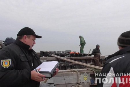 Браконьеры наловили в Днестровском лимане рыбы на 600 тысяч гривен (фото, видео)