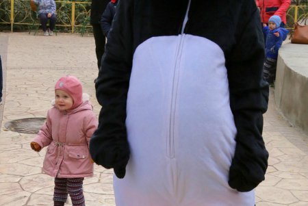 День медведей в Одесском зоопарке (фоторепортаж)