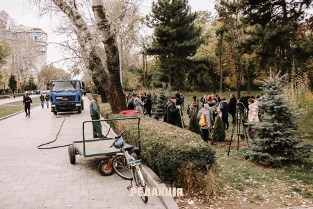 Горожане высадили в парке Шевченко хвойные деревья (фото)
