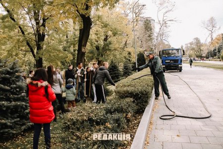 Горожане высадили в парке Шевченко хвойные деревья (фото)