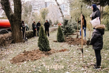 Горожане высадили в парке Шевченко хвойные деревья (фото)