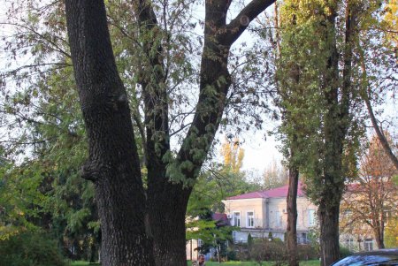 Осень в парке военно-медицинского клинического центра Южного региона (фоторепортаж)